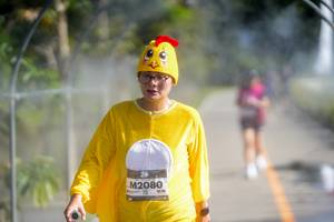 BIB: 
                            <button type="button" onclick="openModal(26543877)" class="btn btn-primary btn-sm float-right btn-popup" data-toggle="modal" data-target=".modal-high-quality">
                        <i class="fas fa-shopping-cart"></i> Add to Cart
                    </button>
                                            <button type="button" onclick="isThisMe(26543877, true)" class="btn btn-success btn-sm float-right btn-popup btn-isme hidden" data-toggle="tooltip" data-placement="bottom" title="นี่คือรูปของคุณใช่ไหม คลิกที่นี่เพื่อเอาเข้าอัลบั้ม">
                        <i class="fas fa-plus"></i> Add to album
                    </button>
                    <button type="button" onclick="isThisMe(26543877, false)" class="btn btn-warning btn-sm float-right btn-popup btn-isnotme hidden">
                        <i class="fas fa-ban"></i> Remove from album
                    </button>